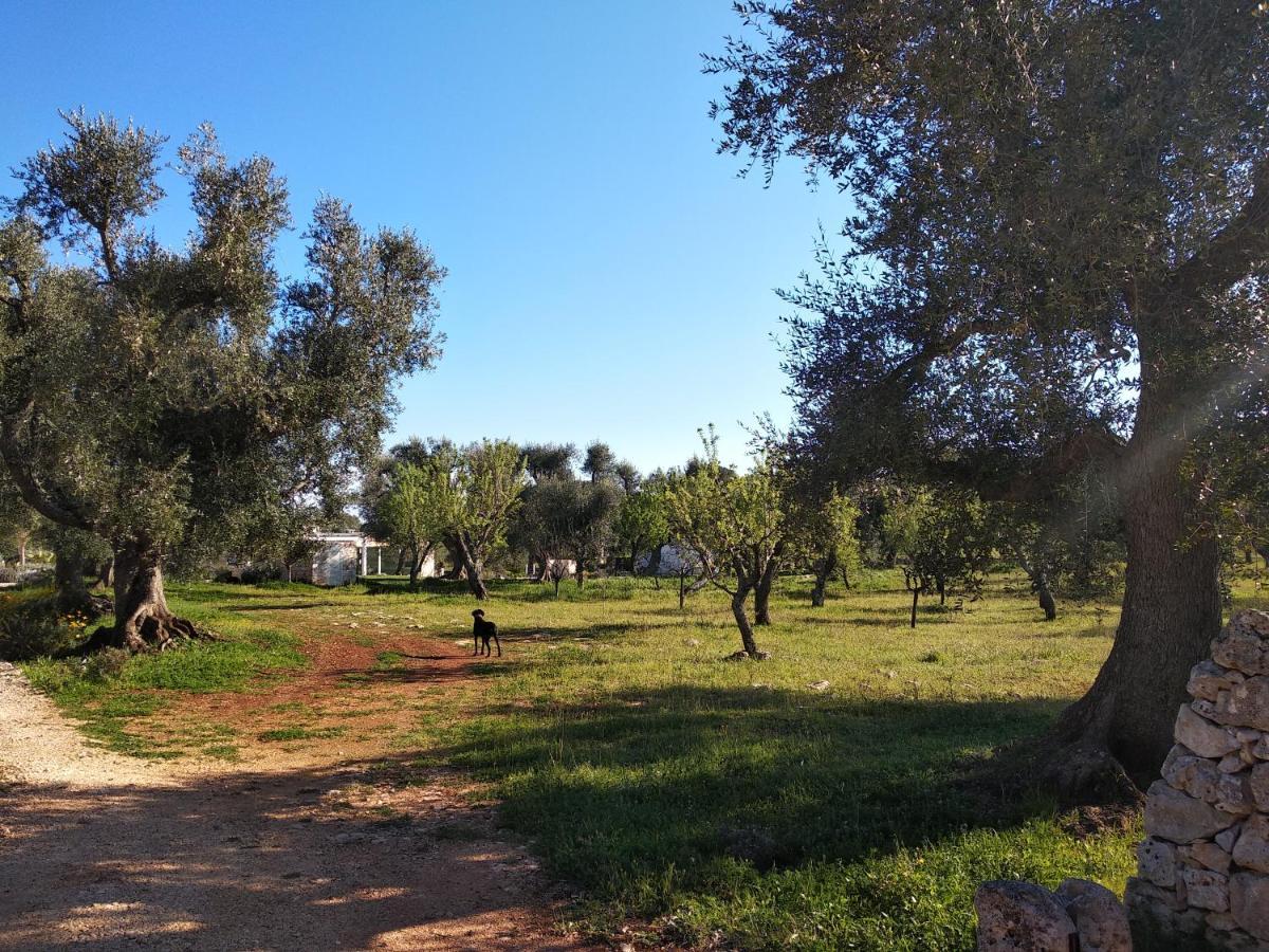 Piccolo Trullo Ostunese Le Jardin de Sophie' Ostuni Esterno foto