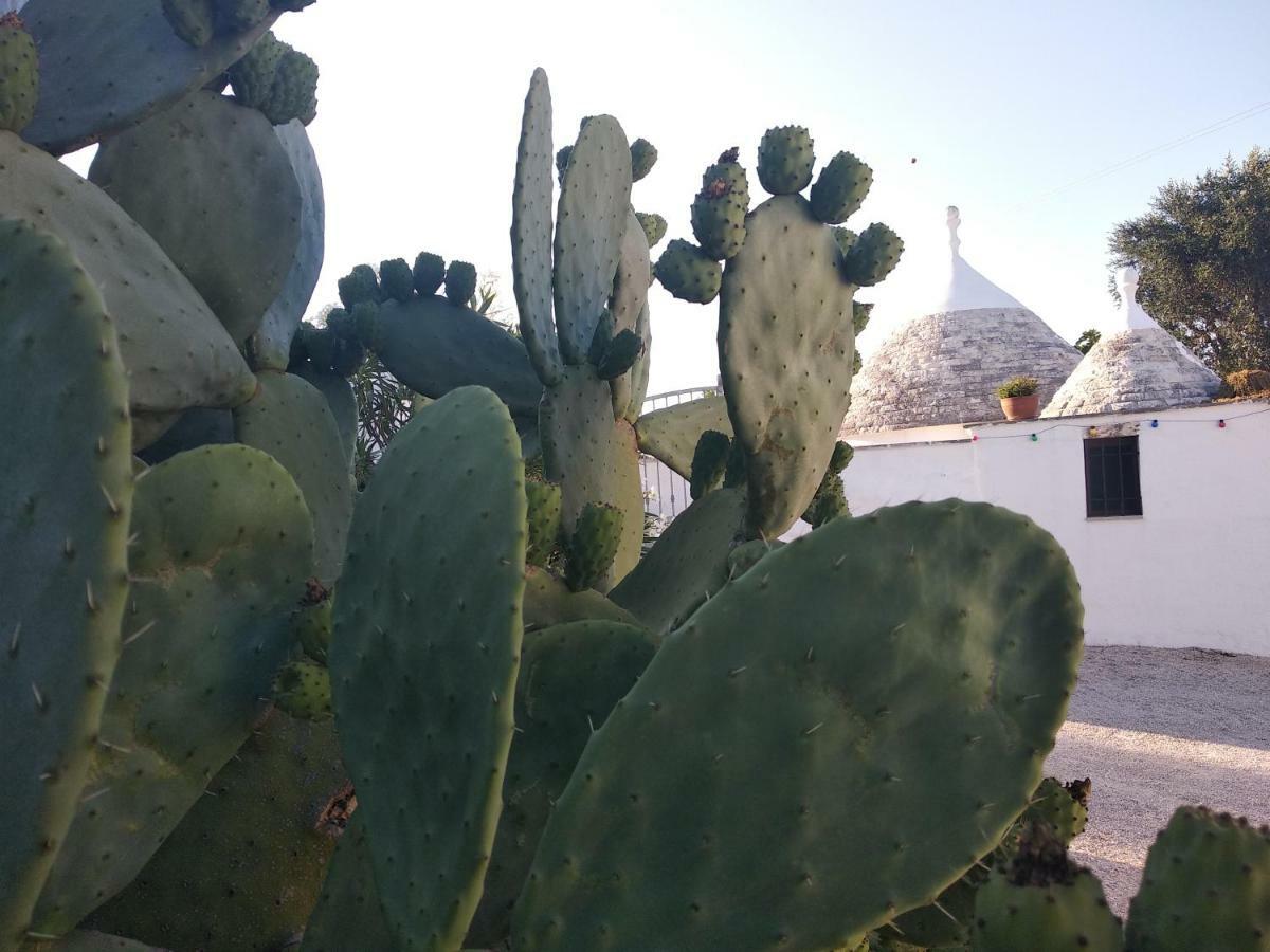 Piccolo Trullo Ostunese Le Jardin de Sophie' Ostuni Esterno foto