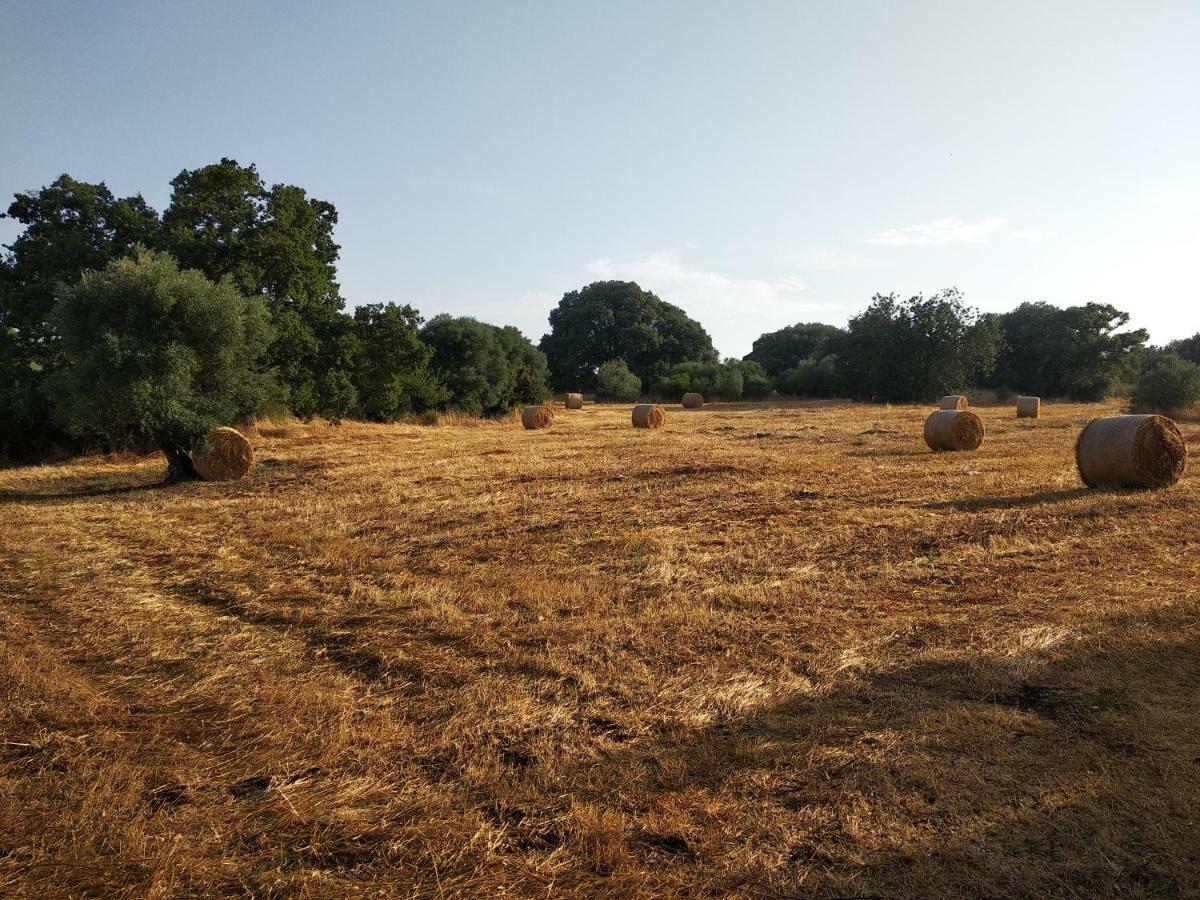 Piccolo Trullo Ostunese Le Jardin de Sophie' Ostuni Esterno foto
